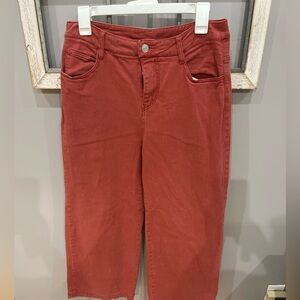 entro Rust-Orange Denim Pants